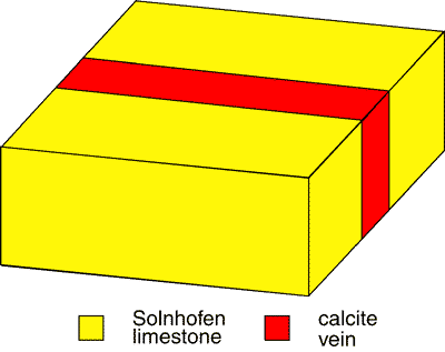 Calcite vein in Solnhofen limestone