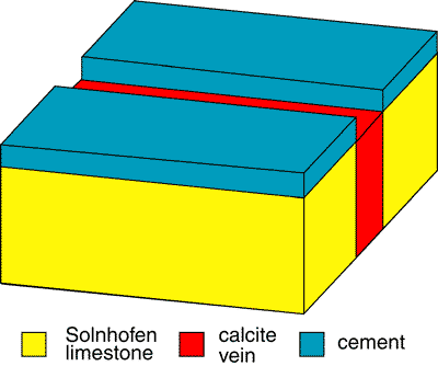 What figure 1, above, would look like if Spetner was right -- a gap in the cement