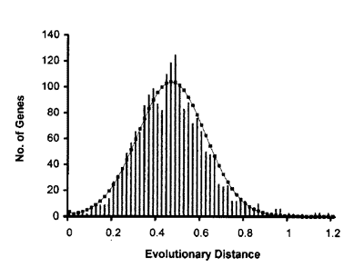 Number of genes versus evolutionary distance histogram for 2019 genes shared by the human and mouse genomes