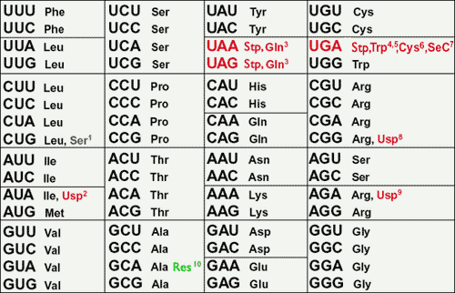 [Figure1.1.1]