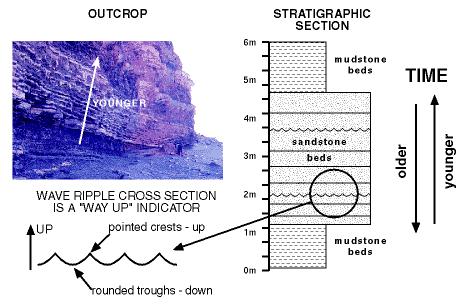 strata dating system. Wave ripple in strata