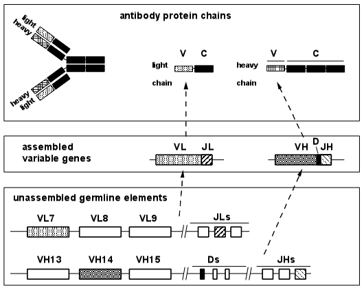 [Fig2]