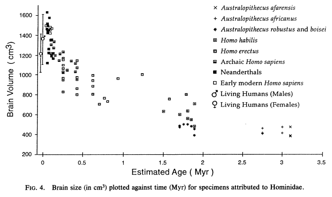 Hominin Chart