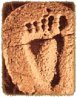 Burdick footprint