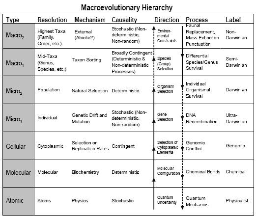 Hierarchy Of Evidence