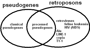 Venn diagram of 'errors'