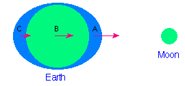 The Earth-moon tidal bulge