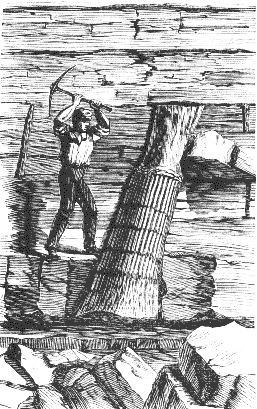       http://www.talkorigins.org/faqs/polystrate/dawson_tree1.gif                                               