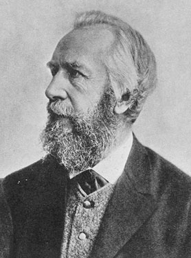 Ernst Haeckel portrait