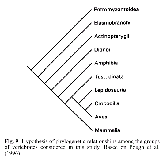 richardson_fig9.gif