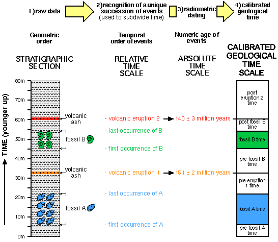 1) Raw data 2) Recognition of a unique succession of events 3) radiometric dating 4) calibrated geologic time
