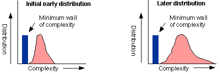 1) Initial early distribution with bell-curved complexity distribution next to minimum wall 2) Later distribution has the complexity distribution has spread out