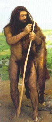 AMNH Neandertal