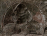 Olenellus sp.
