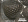Phacops rana