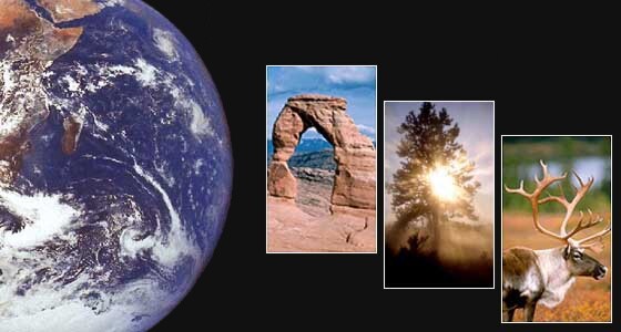 Earth, landscape, tree, and caribou collage from the TalkOrigins Archive banner